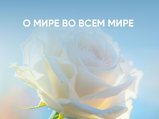 Подборка книг ко Международному дню мира